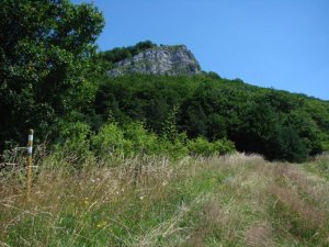 Temešská skala
