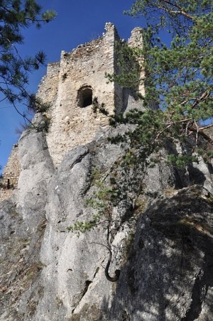 Z Hričovského hradu III 