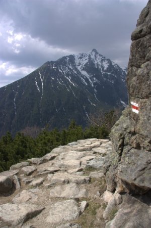 Slávo z magistrály