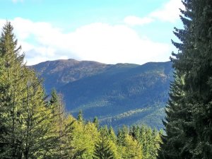 Babia hora