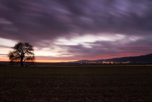 stromovka