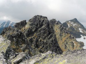Solisko