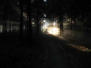 Za světlem