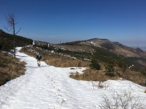 Siminy 1287m