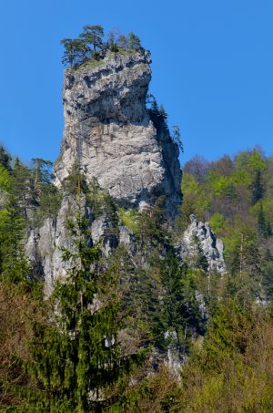 Orlia veža