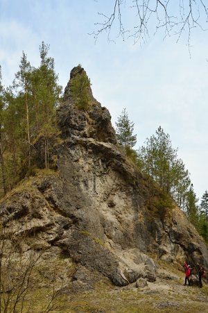 Skalné bralá