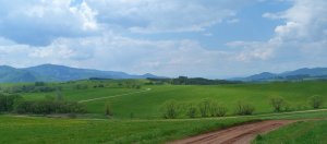 Cestičky