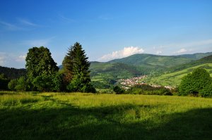 Z lúk nad Kubušovcami II