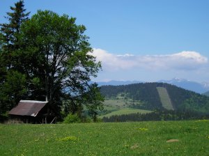 Salaš