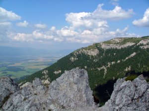 Tlstá