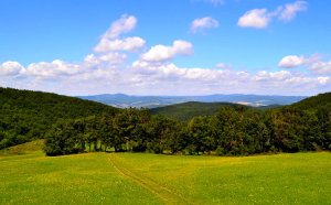 Cestičkou do Kubrice.