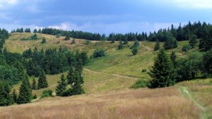 Veľký Javorník