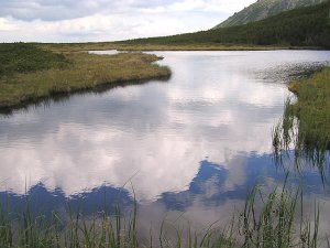 Trojrohé pleso