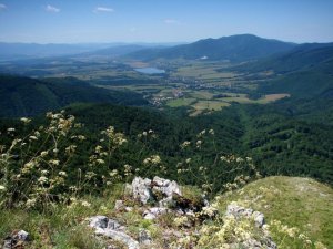 Z Temešskej skaly