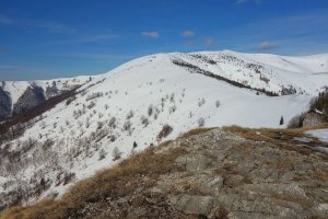 Majerova skala