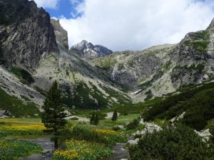 Mala Studena dolina