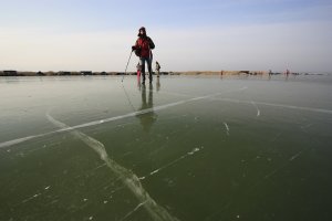 Neusiedlersee v skle