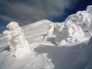 Februar 2013