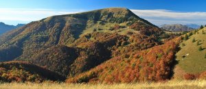 Borišov