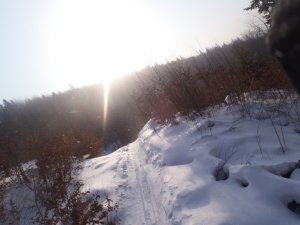 Na lyžiach na Kojšovku...
