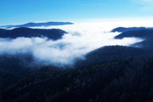 Slovenské more