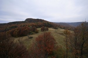 Kopa