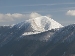 Stoh a jeho žľab