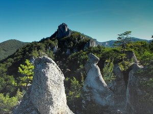 Korytnačka