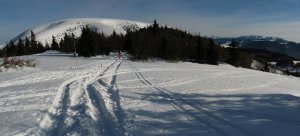 Ploská