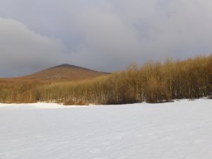 Čelo