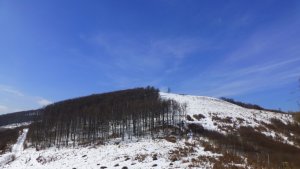 Skalnatá