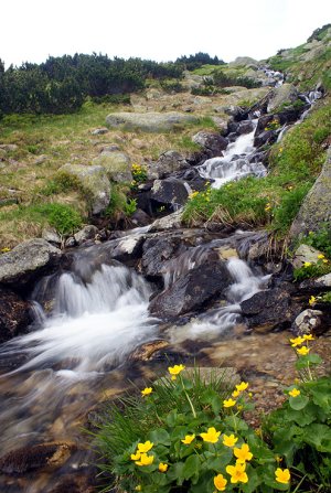 Bystrina Bystrá pod Bystrou