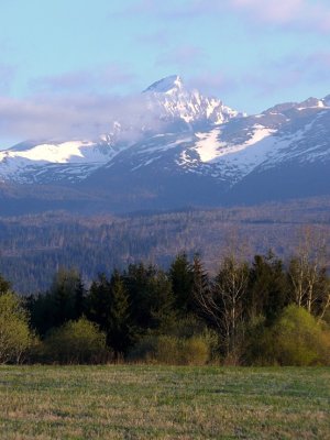 Ranné prebúdzanie