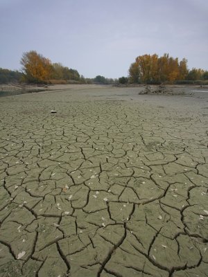 Dry Land...