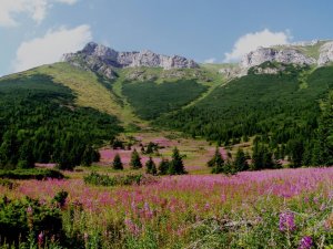 Belianske Tatry
