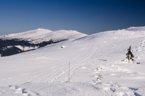 Kráľovohoľské hole