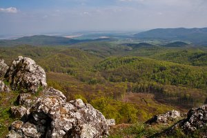 Čierna skala.