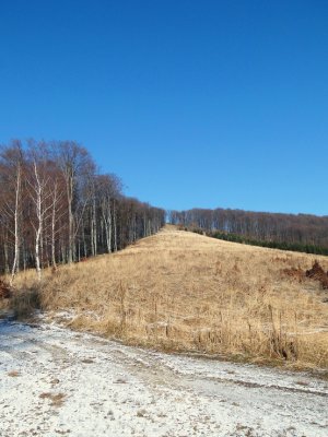 Javorový vrch