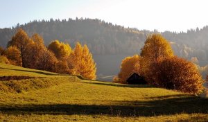 Podvečer