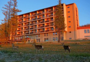 Trojka od Bellevue