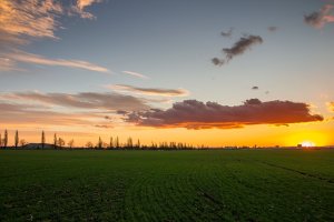 UFO nad Trnavou