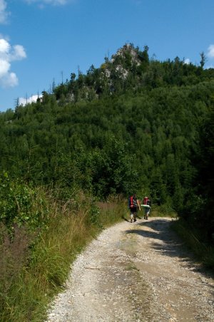 Skala nad Osrblím