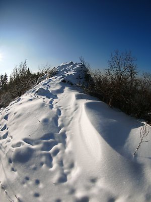 Tanád