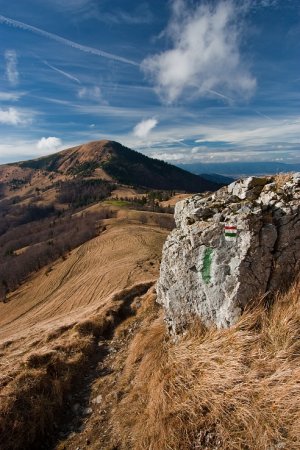 Pohladenie