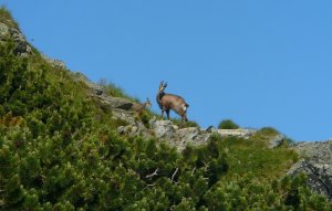 S potomkom...