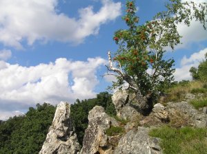 Skalka