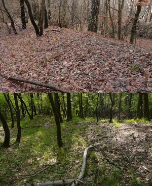 Dobrovodské šance