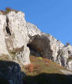 Gotika