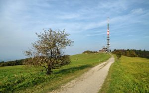 Veľká Javorina