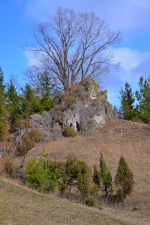 King-kongova skala